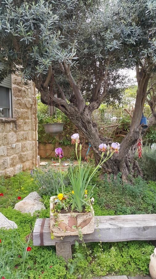 The House Of Taly & Erez Hotel Netaim Exterior photo
